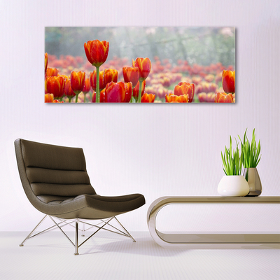 Tableaux sur verre Tulipes floral rouge