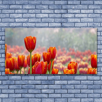 Tableaux sur verre Tulipes floral rouge