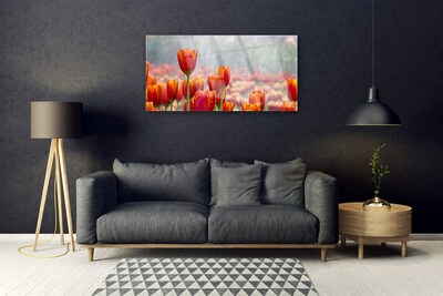 Tableaux sur verre Tulipes floral rouge