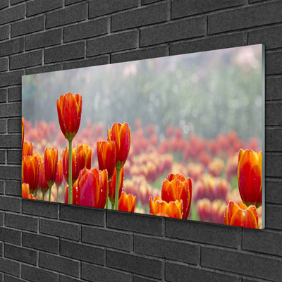 Tableaux sur verre Tulipes floral rouge