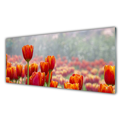 Tableaux sur verre Tulipes floral rouge