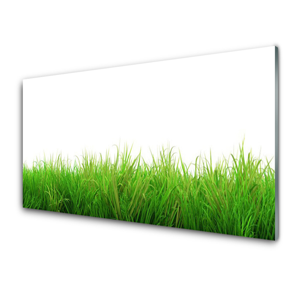 Tableaux sur verre Herbe nature vert