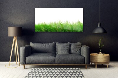 Tableaux sur verre Herbe nature vert