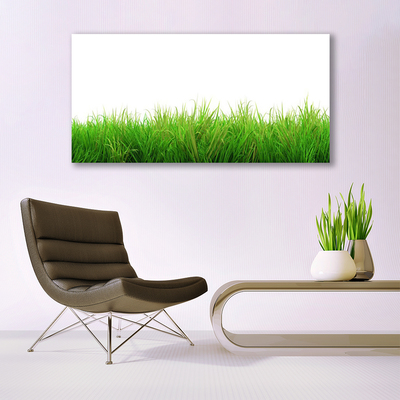 Tableaux sur verre Herbe nature vert