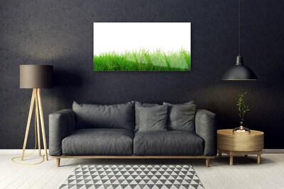 Tableaux sur verre Herbe nature vert