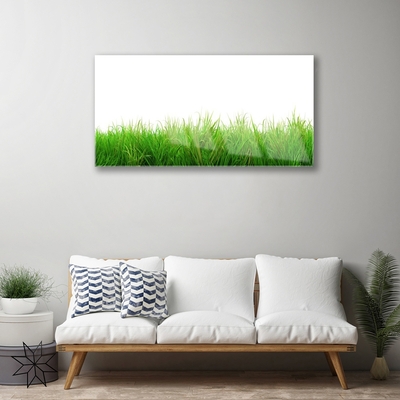 Tableaux sur verre Herbe nature vert