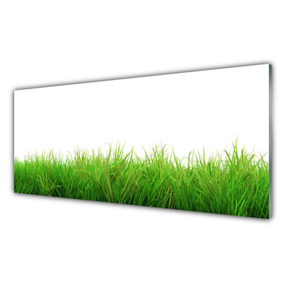 Tableaux sur verre Herbe nature vert