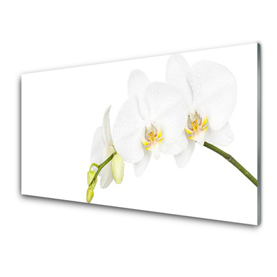 Tableaux sur verre Fleurs floral blanc