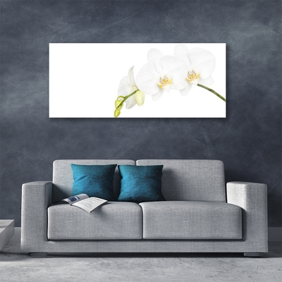 Tableaux sur verre Fleurs floral blanc