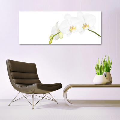 Tableaux sur verre Fleurs floral blanc