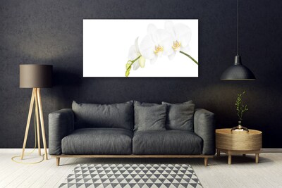 Tableaux sur verre Fleurs floral blanc