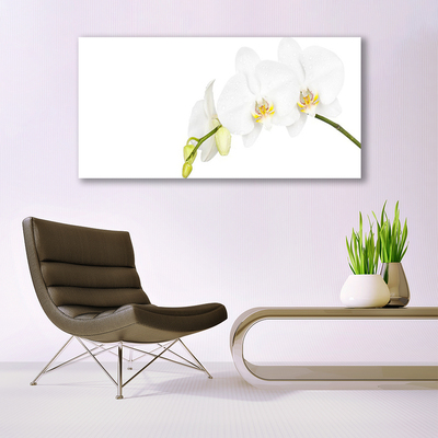 Tableaux sur verre Fleurs floral blanc