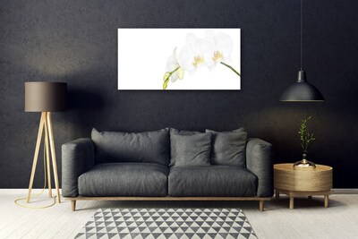 Tableaux sur verre Fleurs floral blanc