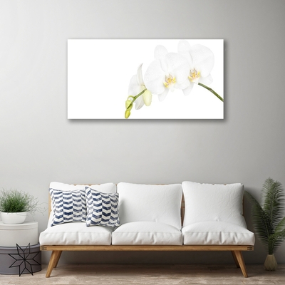 Tableaux sur verre Fleurs floral blanc