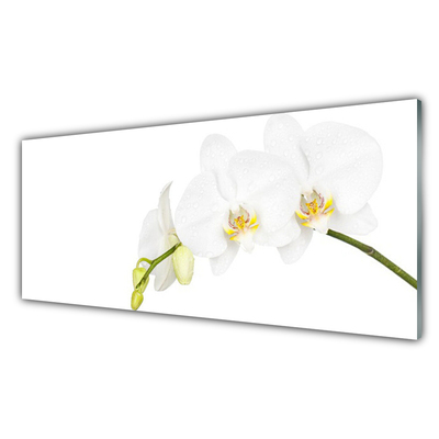 Tableaux sur verre Fleurs floral blanc