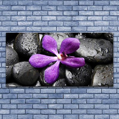 Tableaux sur verre Fleurs pierres art rose noir