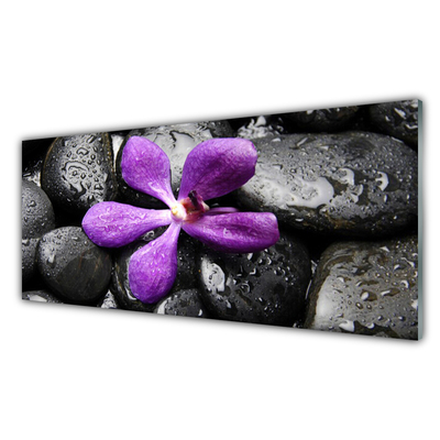 Tableaux sur verre Fleurs pierres art rose noir