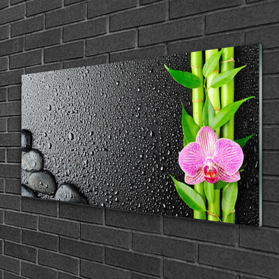 Tableaux sur verre Pierres fleurs bambou floral vert rose noir