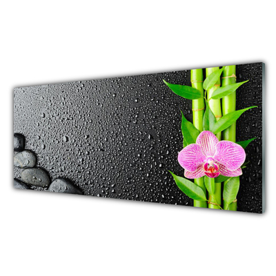 Tableaux sur verre Pierres fleurs bambou floral vert rose noir