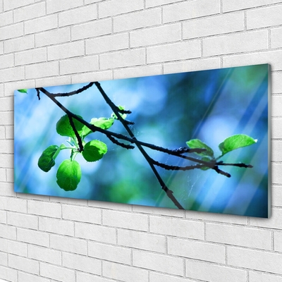 Tableaux sur verre Feuilles branche floral noir vert