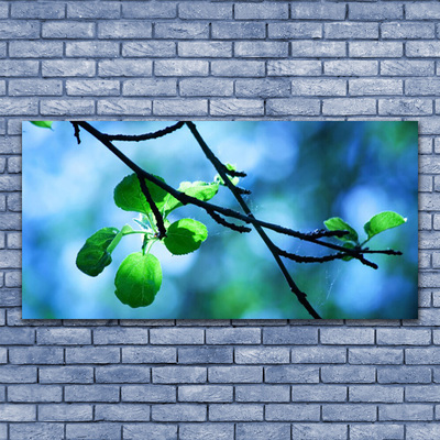 Tableaux sur verre Feuilles branche floral noir vert