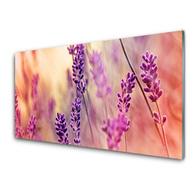 Tableaux sur verre Fleurs floral violet rose