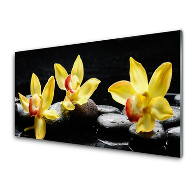 Tableaux sur verre Pierres fleurs floral vert noir