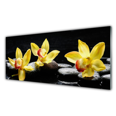 Tableaux sur verre Pierres fleurs floral vert noir