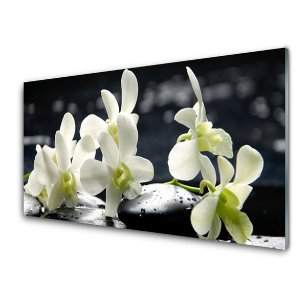Tableaux sur verre Pierres fleurs floral blanc noir