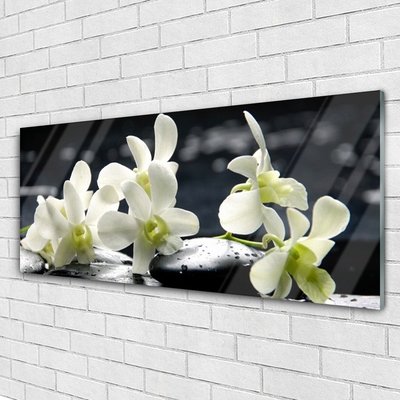 Tableaux sur verre Pierres fleurs floral blanc noir