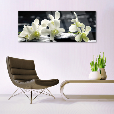 Tableaux sur verre Pierres fleurs floral blanc noir