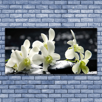 Tableaux sur verre Pierres fleurs floral blanc noir