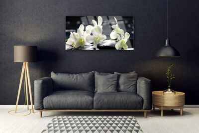 Tableaux sur verre Pierres fleurs floral blanc noir