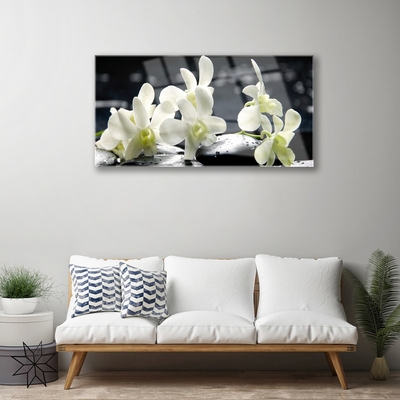 Tableaux sur verre Pierres fleurs floral blanc noir