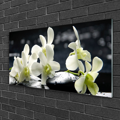 Tableaux sur verre Pierres fleurs floral blanc noir