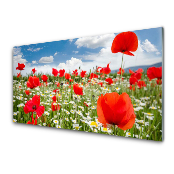 Tableaux sur verre Fleurs prairie nature rouge blanc vert