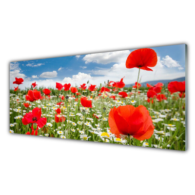 Tableaux sur verre Fleurs prairie nature rouge blanc vert