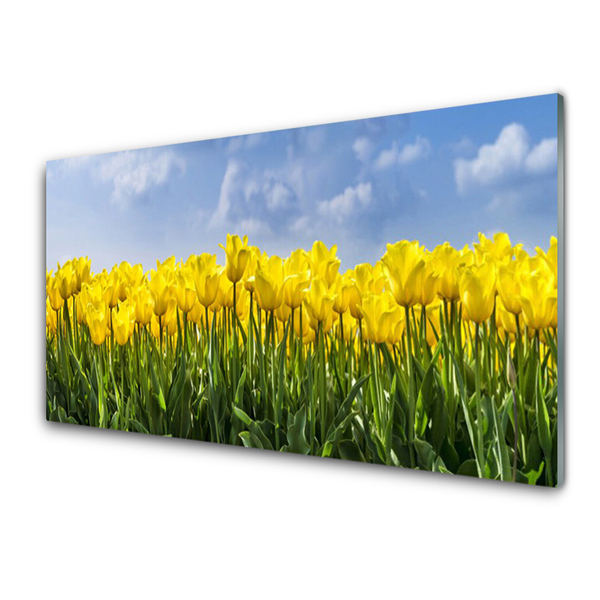 Tableaux sur verre Tulipes floral jaune vert