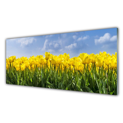 Tableaux sur verre Tulipes floral jaune vert