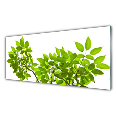 Tableaux sur verre Branches feuilles floral brun vert