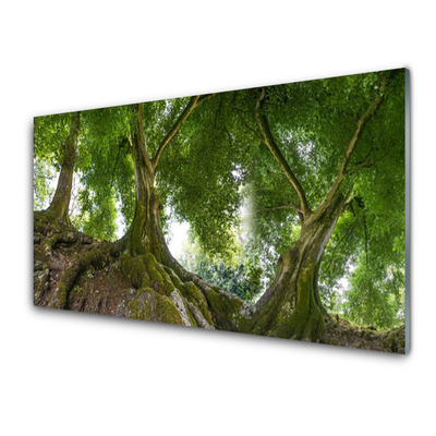 Tableaux sur verre Arbres nature brun vert