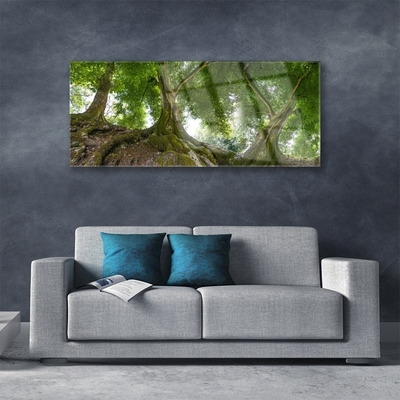 Tableaux sur verre Arbres nature brun vert