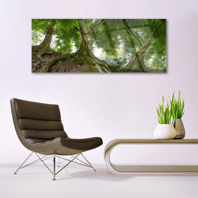 Tableaux sur verre Arbres nature brun vert