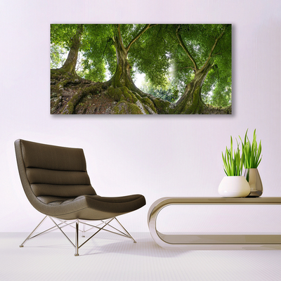 Tableaux sur verre Arbres nature brun vert