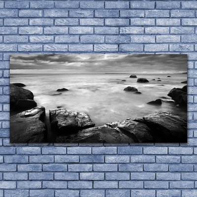 Tableaux sur verre Roche mer paysage gris