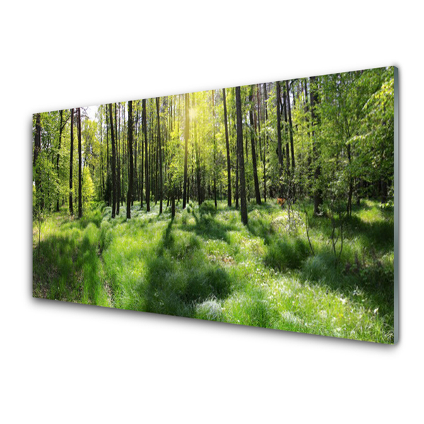 Tableaux sur verre Forêt nature brun vert