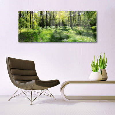 Tableaux sur verre Forêt nature brun vert