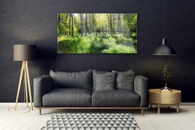 Tableaux sur verre Forêt nature brun vert