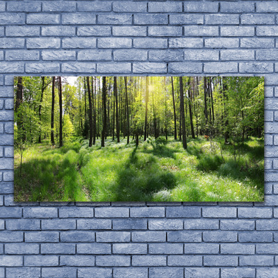 Tableaux sur verre Forêt nature brun vert