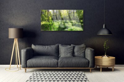 Tableaux sur verre Forêt nature brun vert